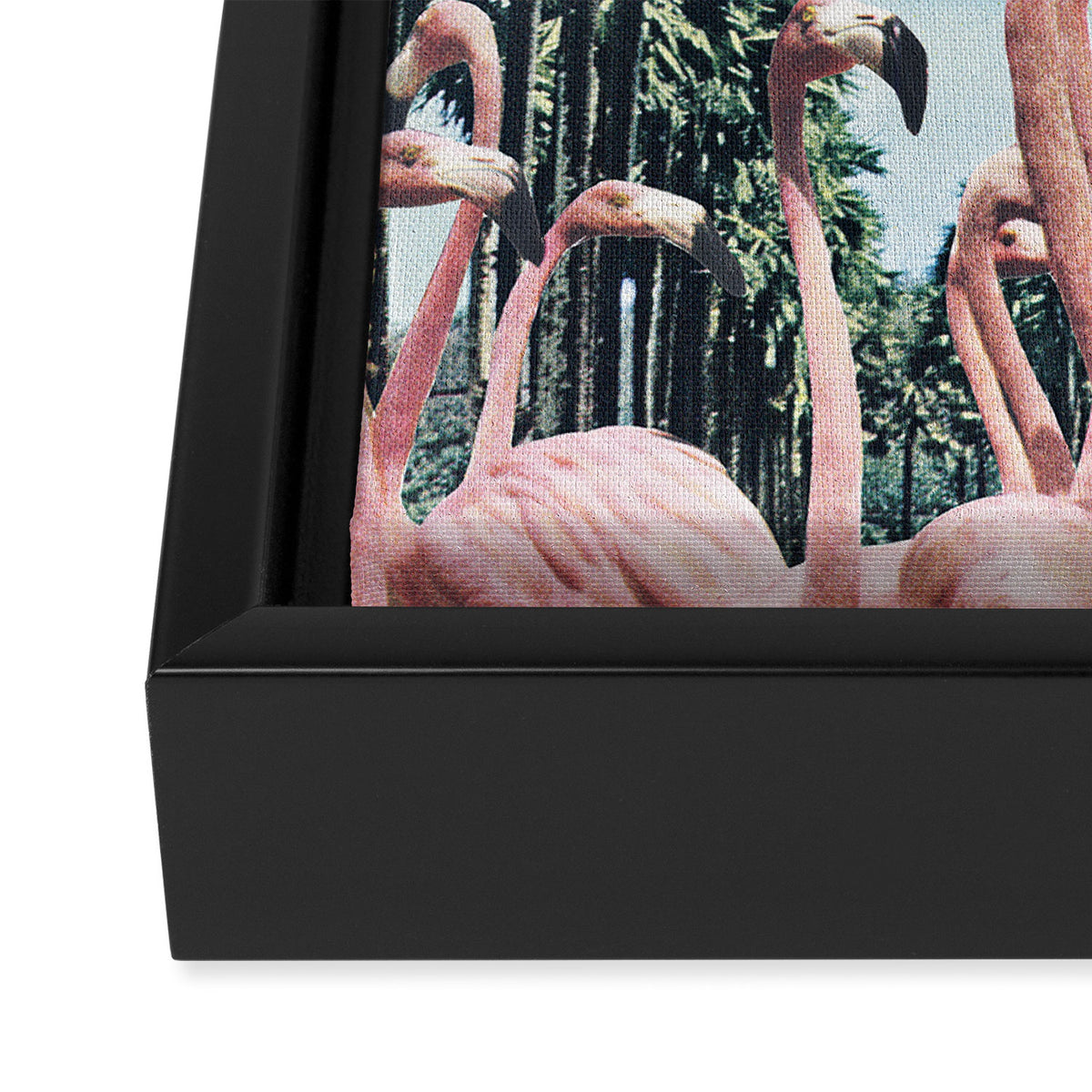 Palm Trees & Flamingos Framed Canvas Print Gallery Image 3