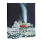 Polar Lights Canvas Print Gallery Image 6