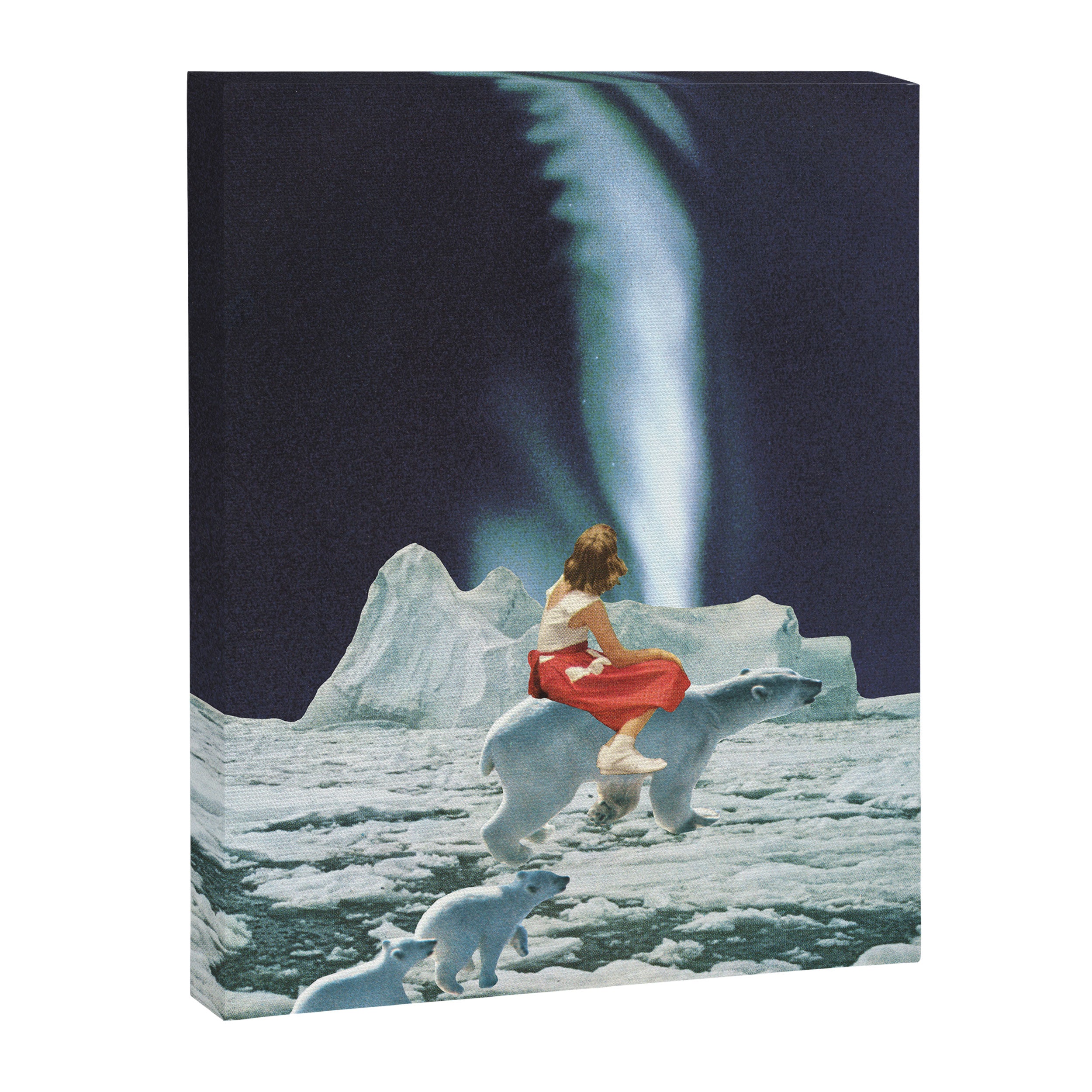 Polar Lights Canvas Print Gallery Image 6