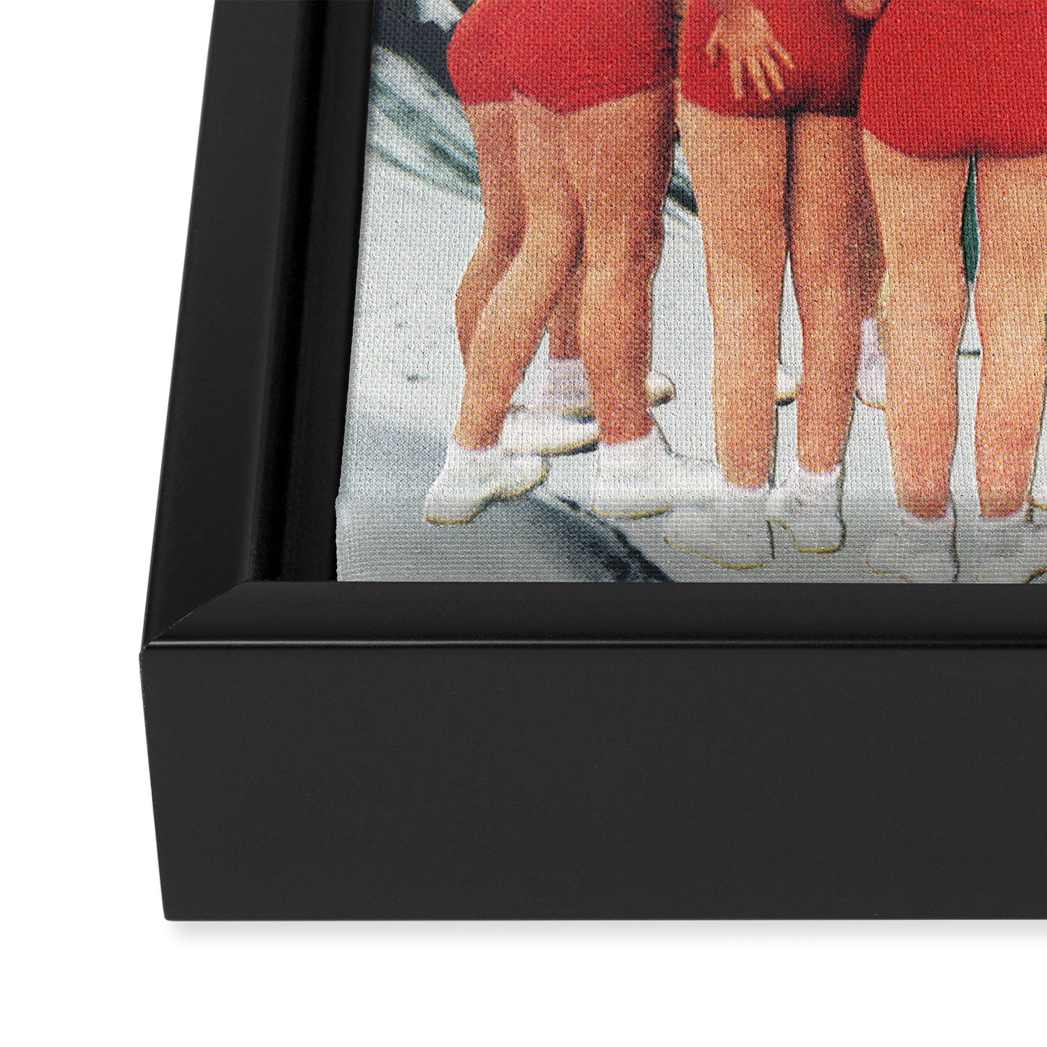 Polar Plunge Framed Canvas Print Gallery Image 3
