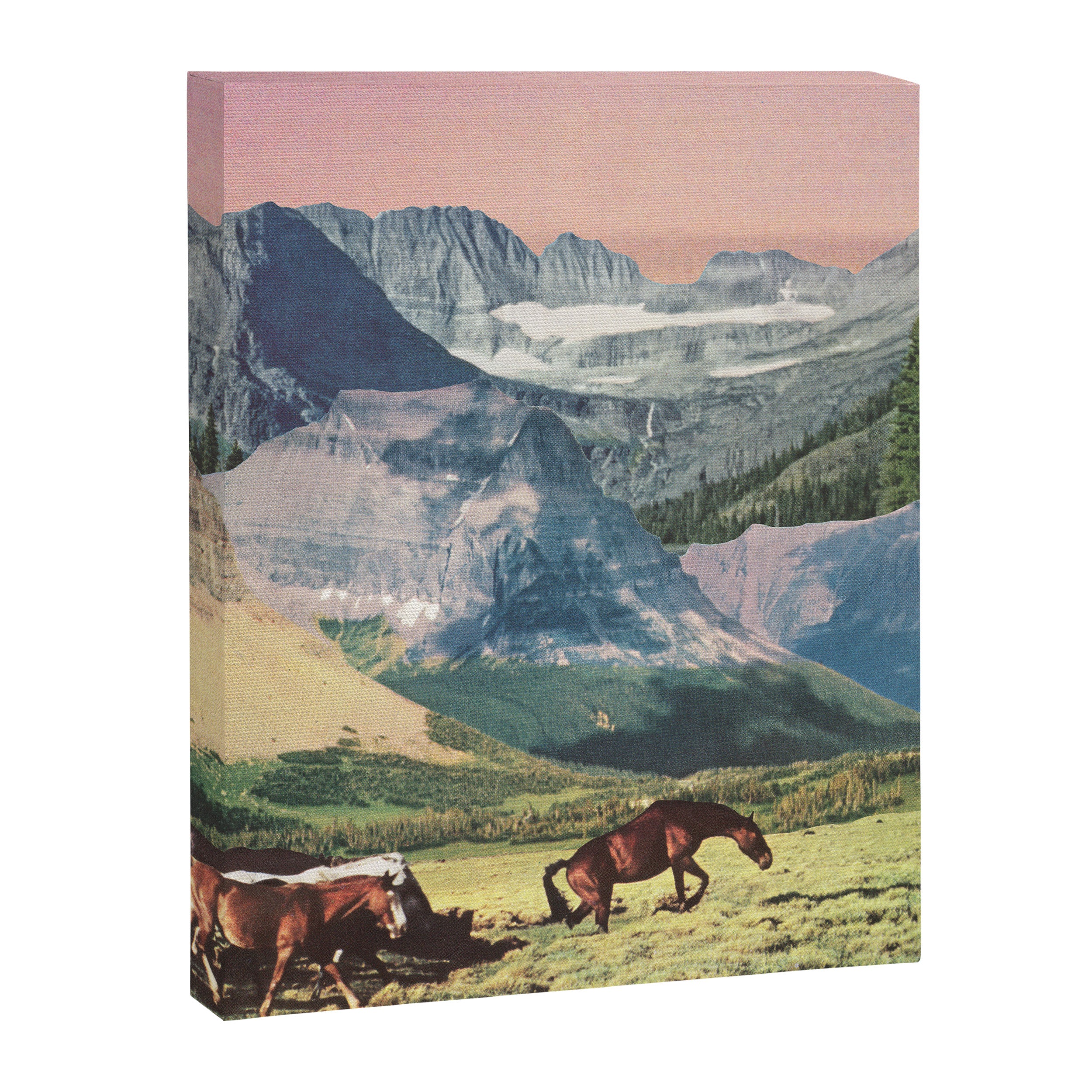 Roaming Canvas Print Gallery Image 6