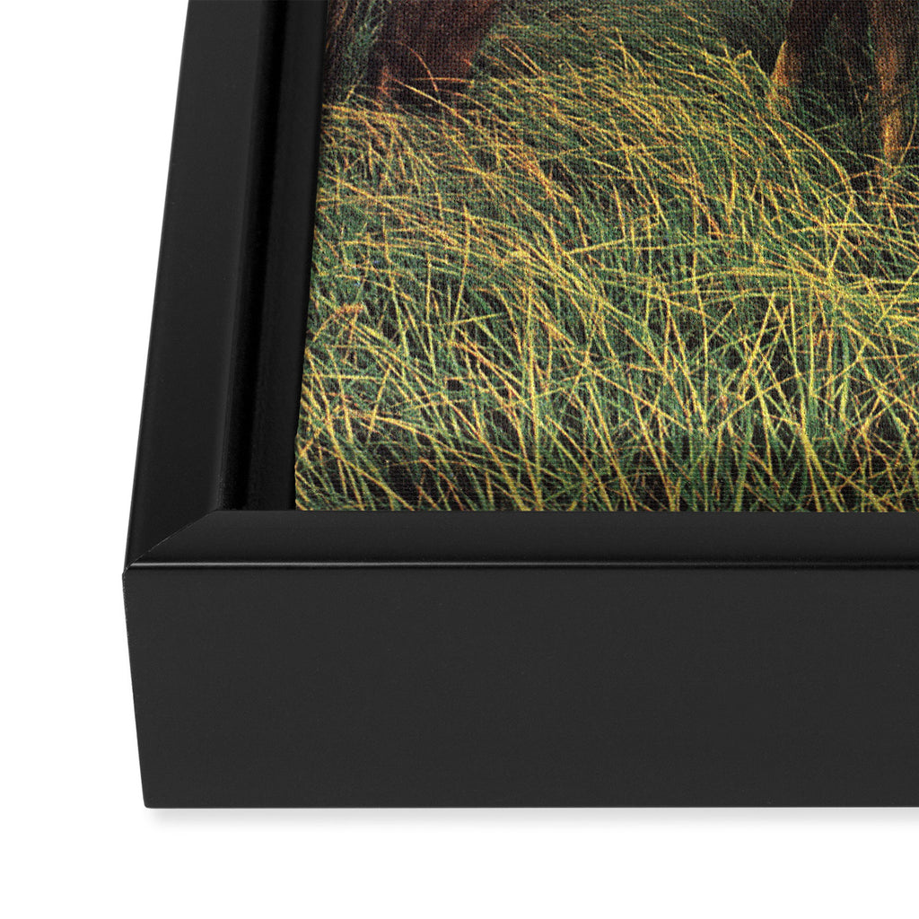 Second Summer Framed Canvas Print Gallery Image 3
