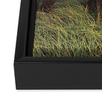 Second Summer Framed Canvas Print Gallery Image 3
