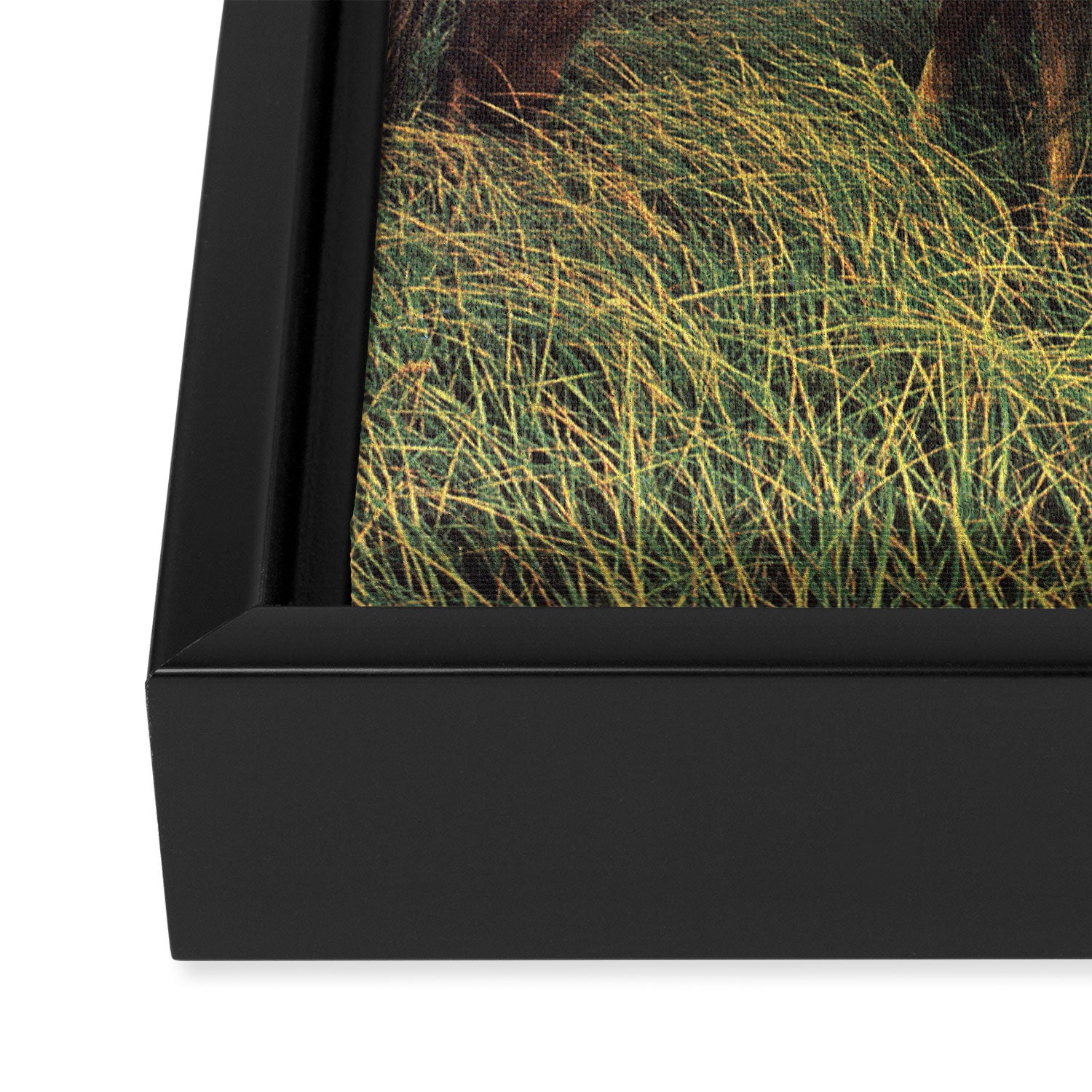 Second Summer Framed Canvas Print Gallery Image 3