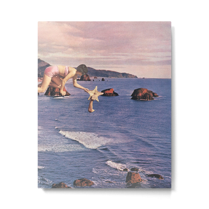 Starfishing Metal Print Gallery Image 1