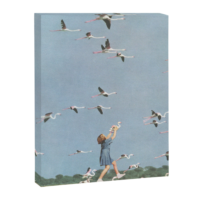 Taking Flight Canvas Print Gallery Image 1