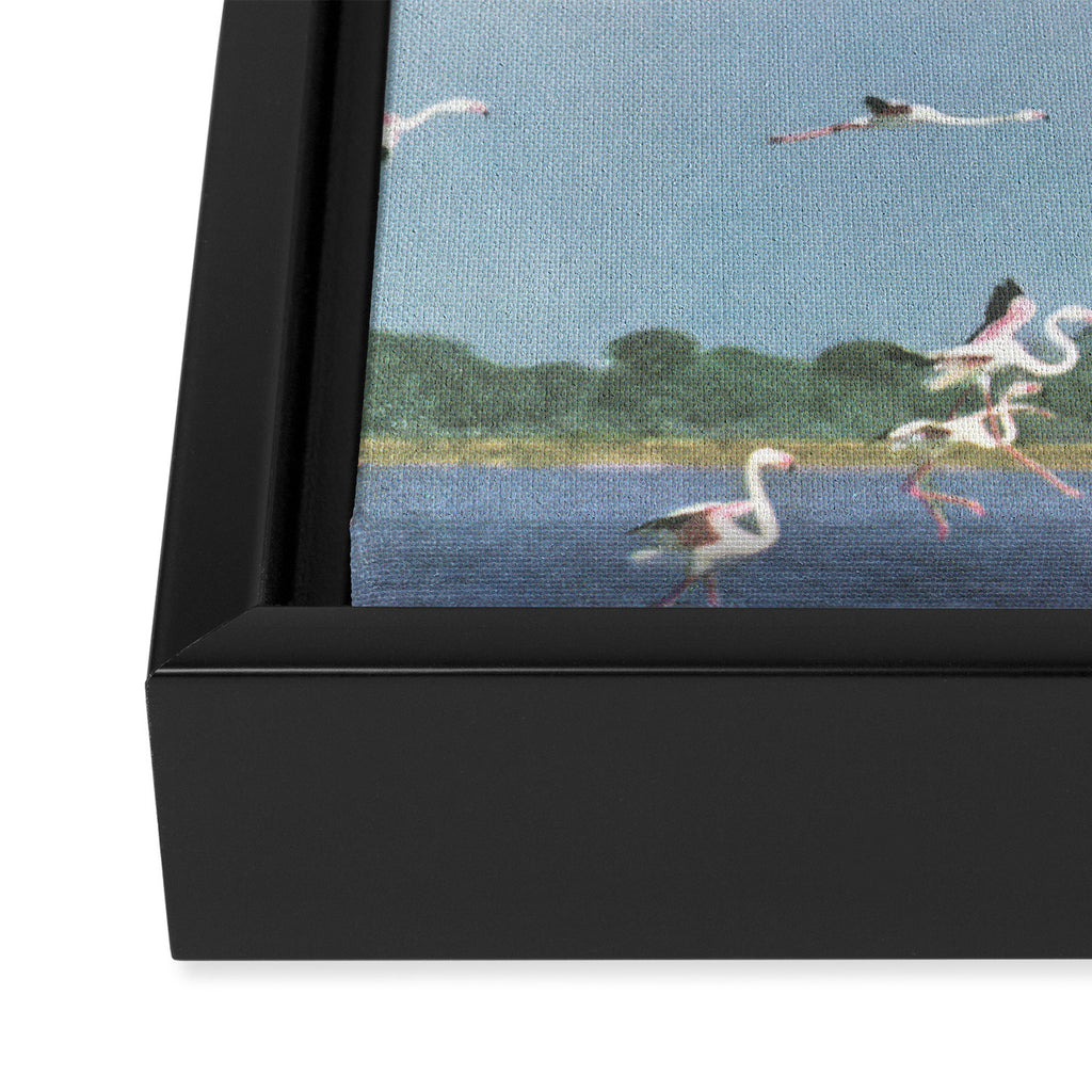 Taking Flight Framed Canvas Print Gallery Image 3