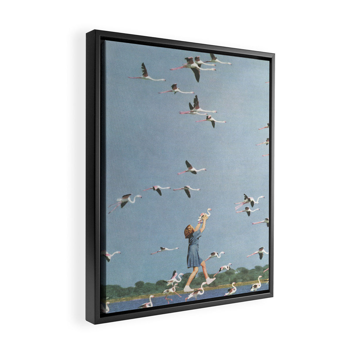 Taking Flight Framed Canvas Print Gallery Image 2