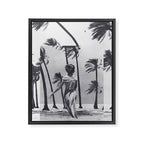 Tropical Storm Framed Canvas Print Gallery Image 6