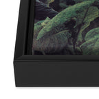 Leaves Framed Canvas Print Gallery Image 3