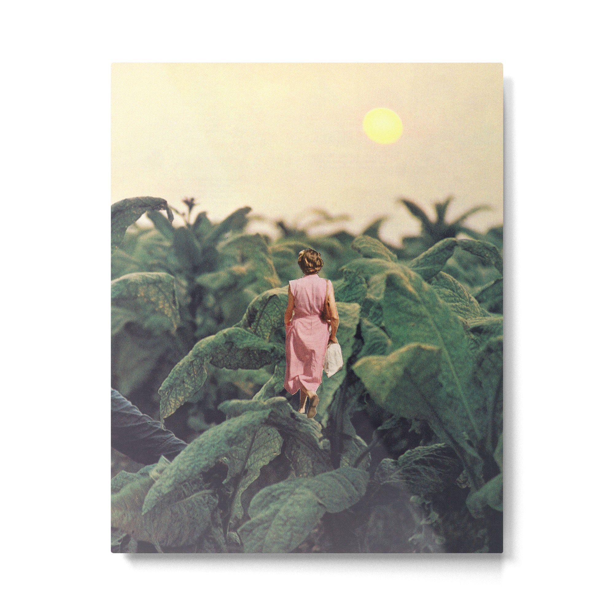 Leaves Metal Print Gallery Image 4