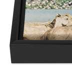Washes Framed Canvas Print Gallery Image 3