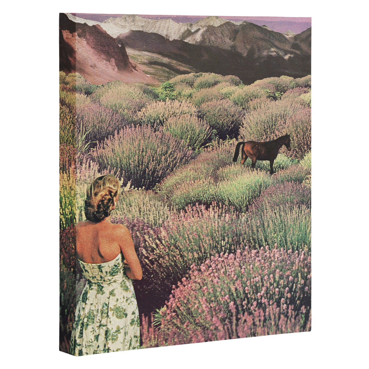 Wild & Free Canvas Print Gallery Image 3