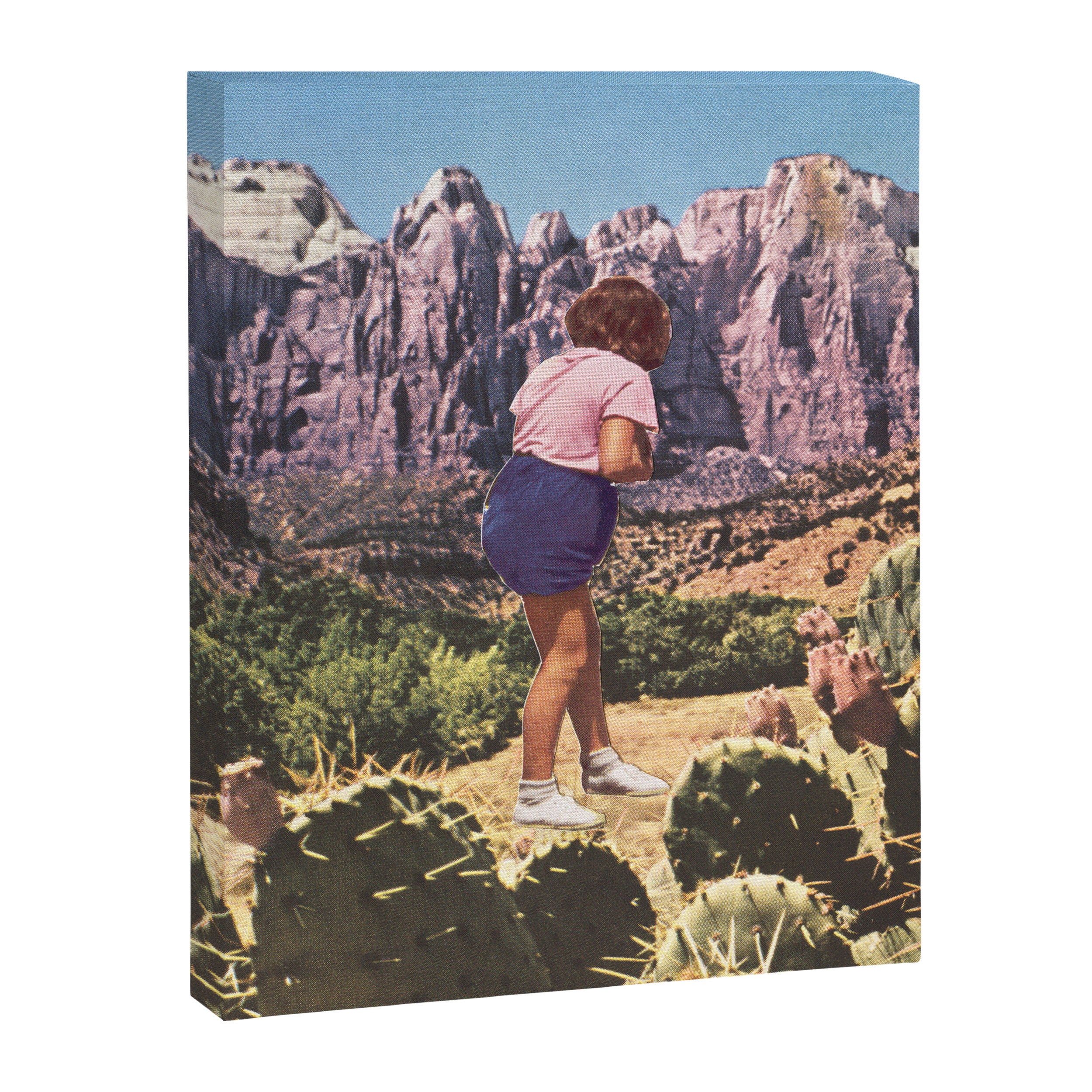 Wilderness Canvas Print Gallery Image 6