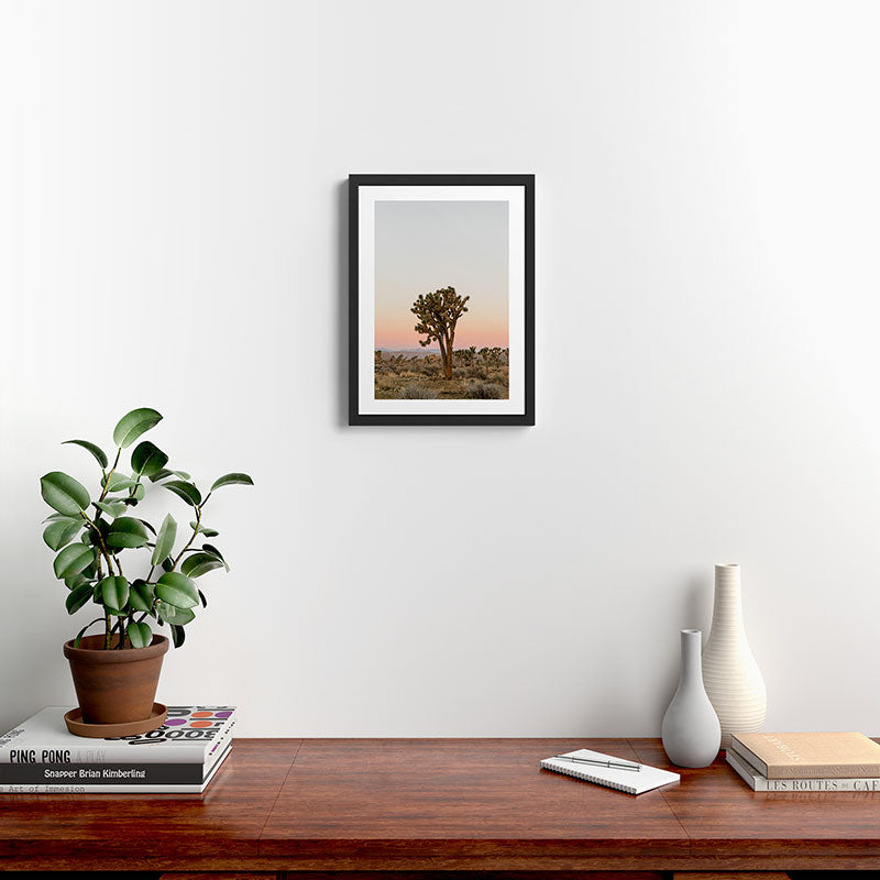 Joshua Tree Framed Art Print Gallery Image 2