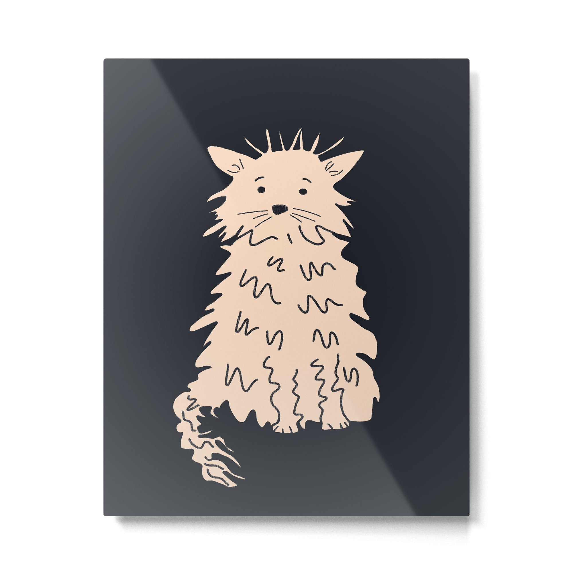 Fluffy cat on black Metal Print Gallery Image 6