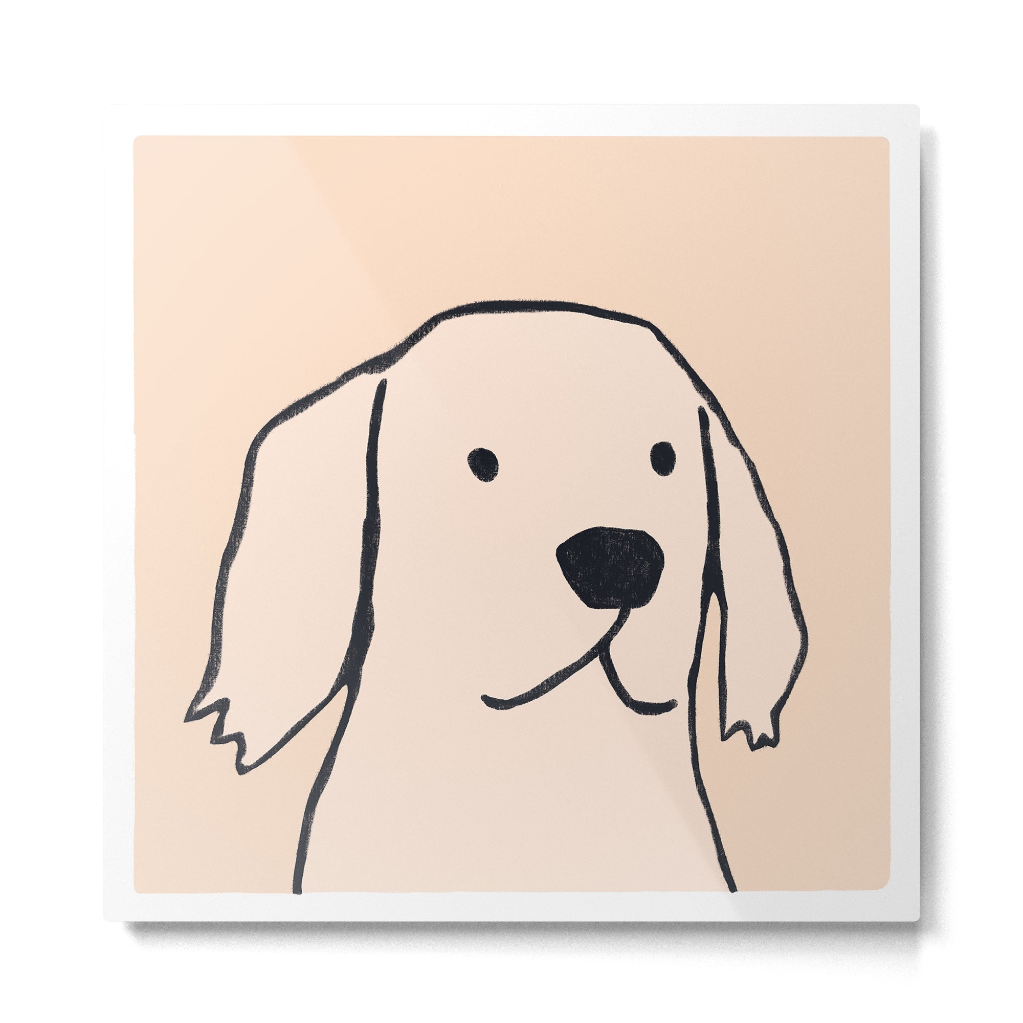 Golden retriever on cream Metal Print Gallery Image 2