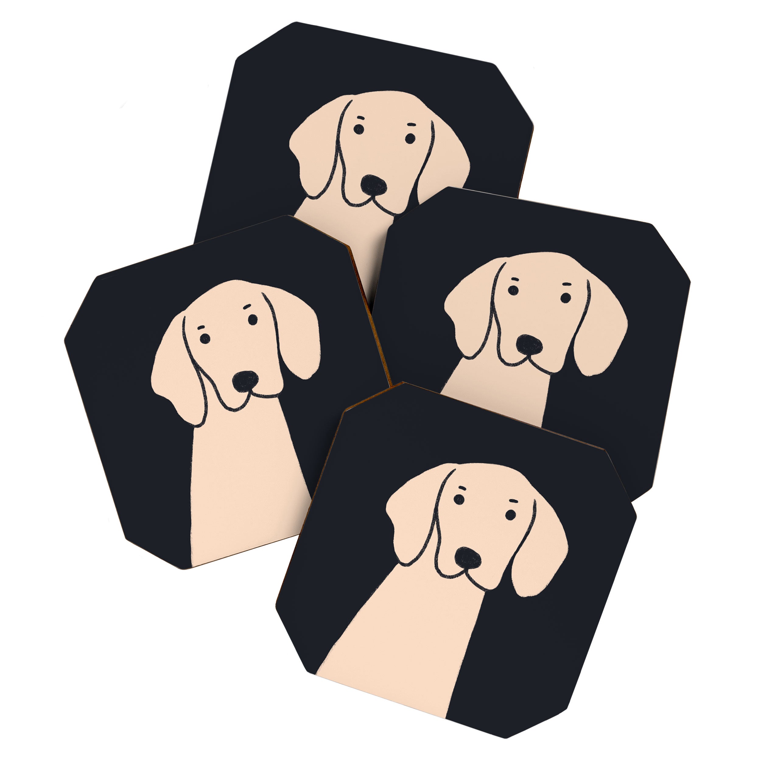 Hello dog Coaster Gallery Image 1
