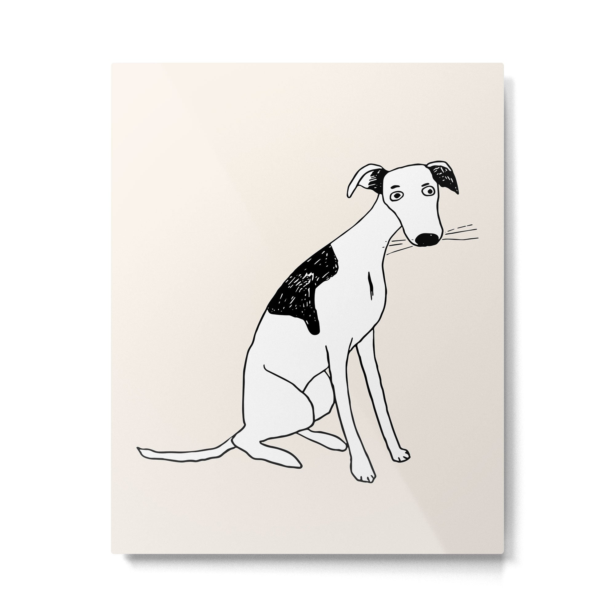 Lulu the dog Metal Print Gallery Image 6