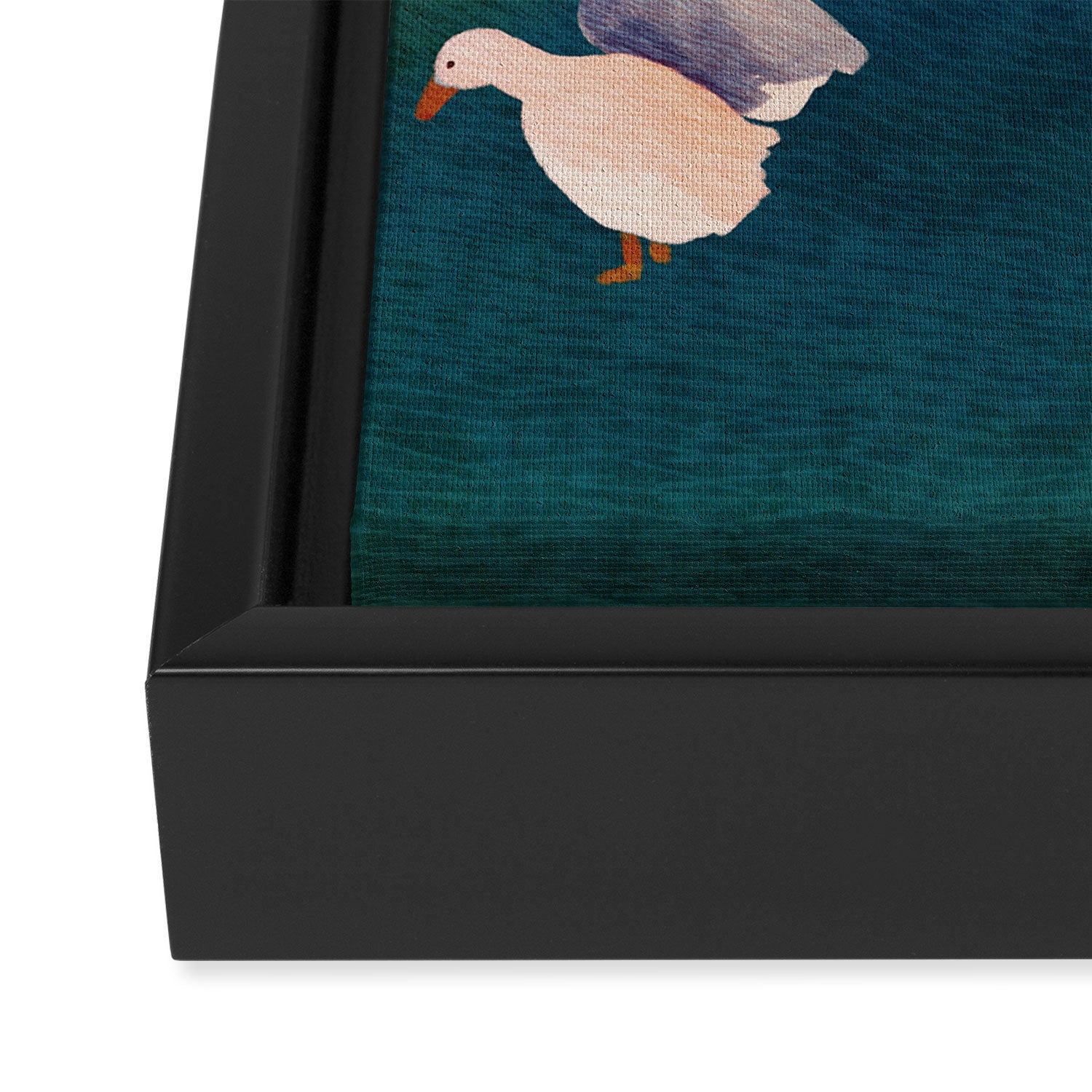 Searching for the golden goose Framed Canvas Print Gallery Image 3