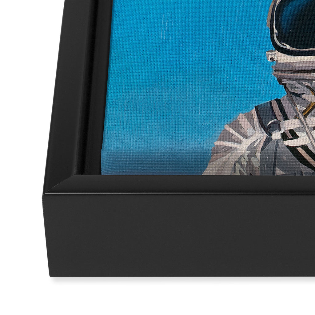 Pluto Framed Canvas Print Gallery Image 3