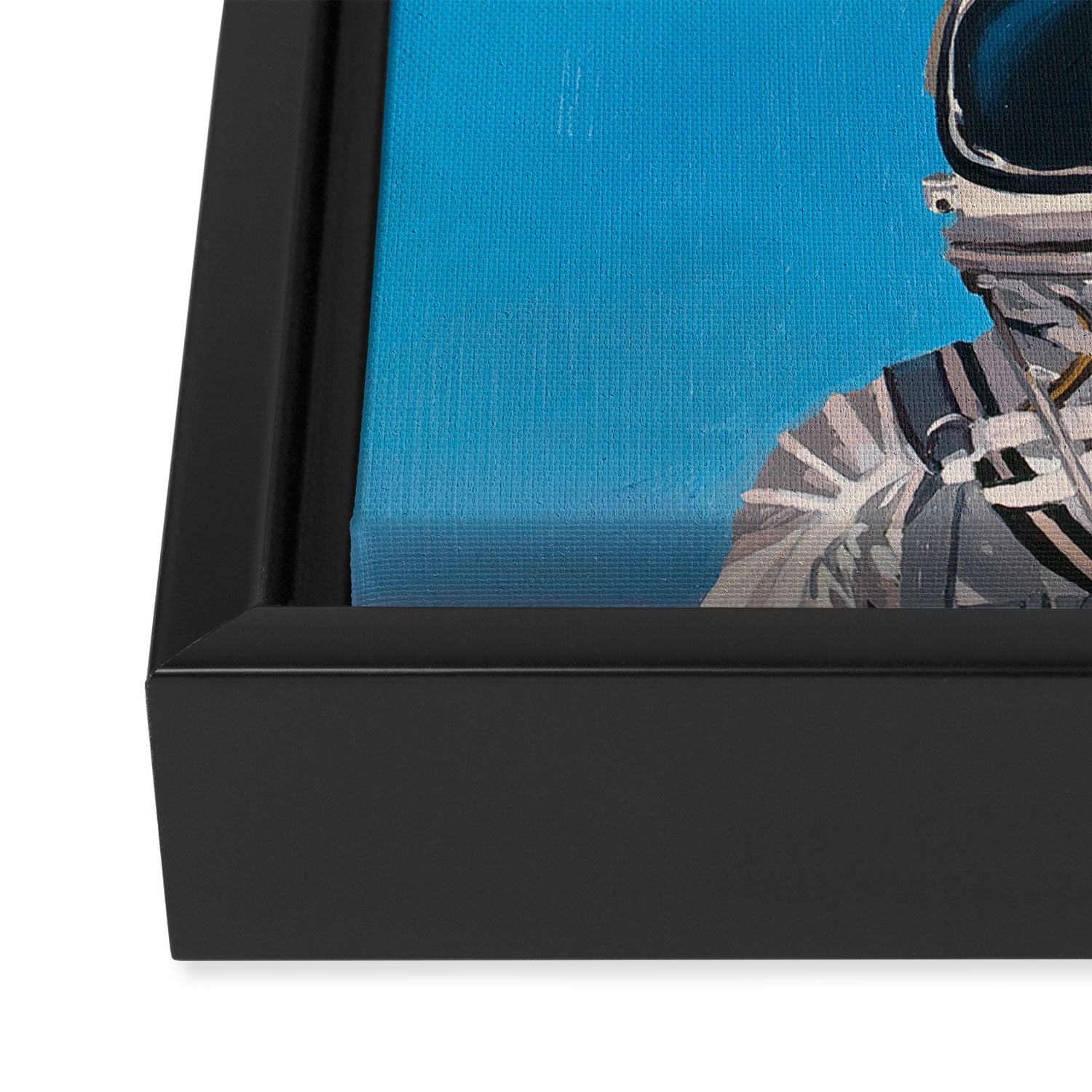 Pluto Framed Canvas Print Gallery Image 3