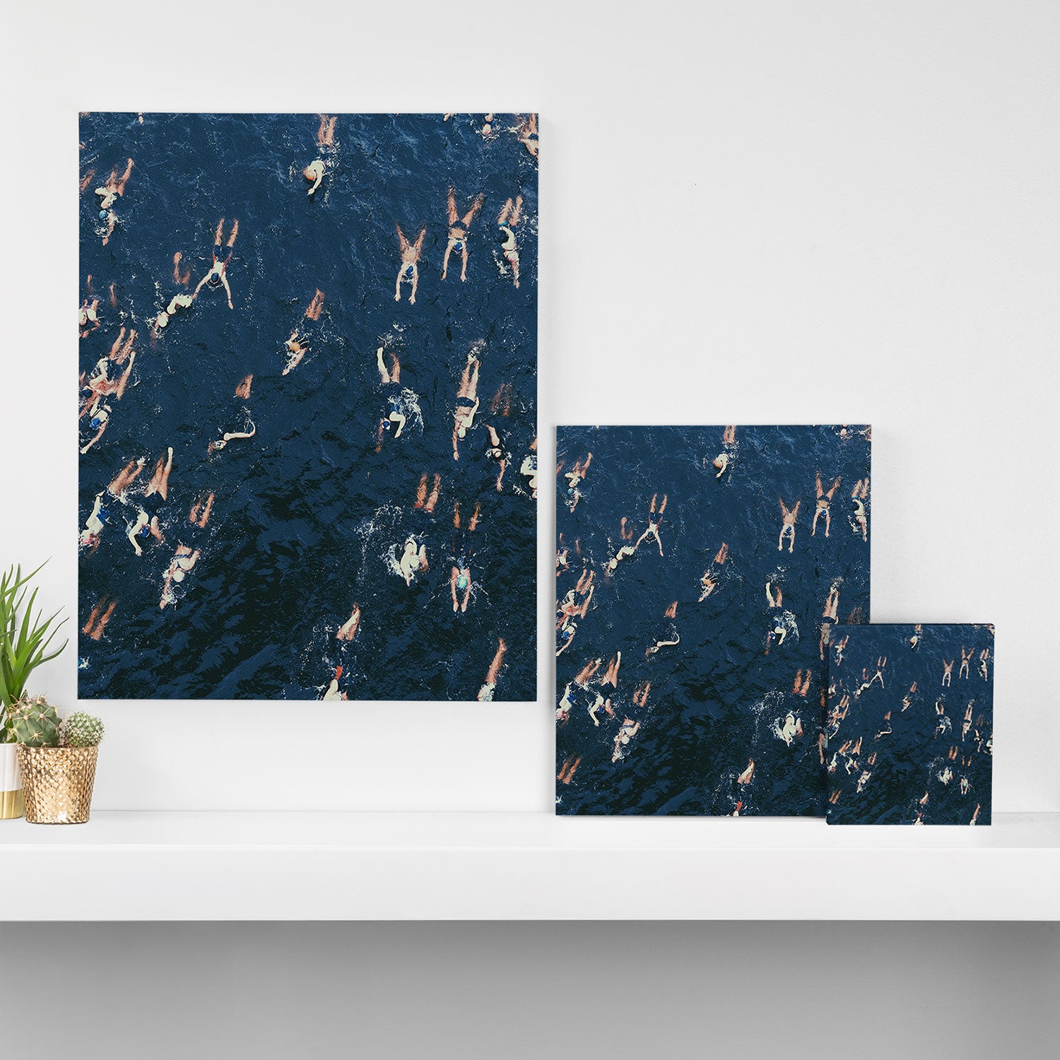 Swim swim Canvas Print Gallery Image 3