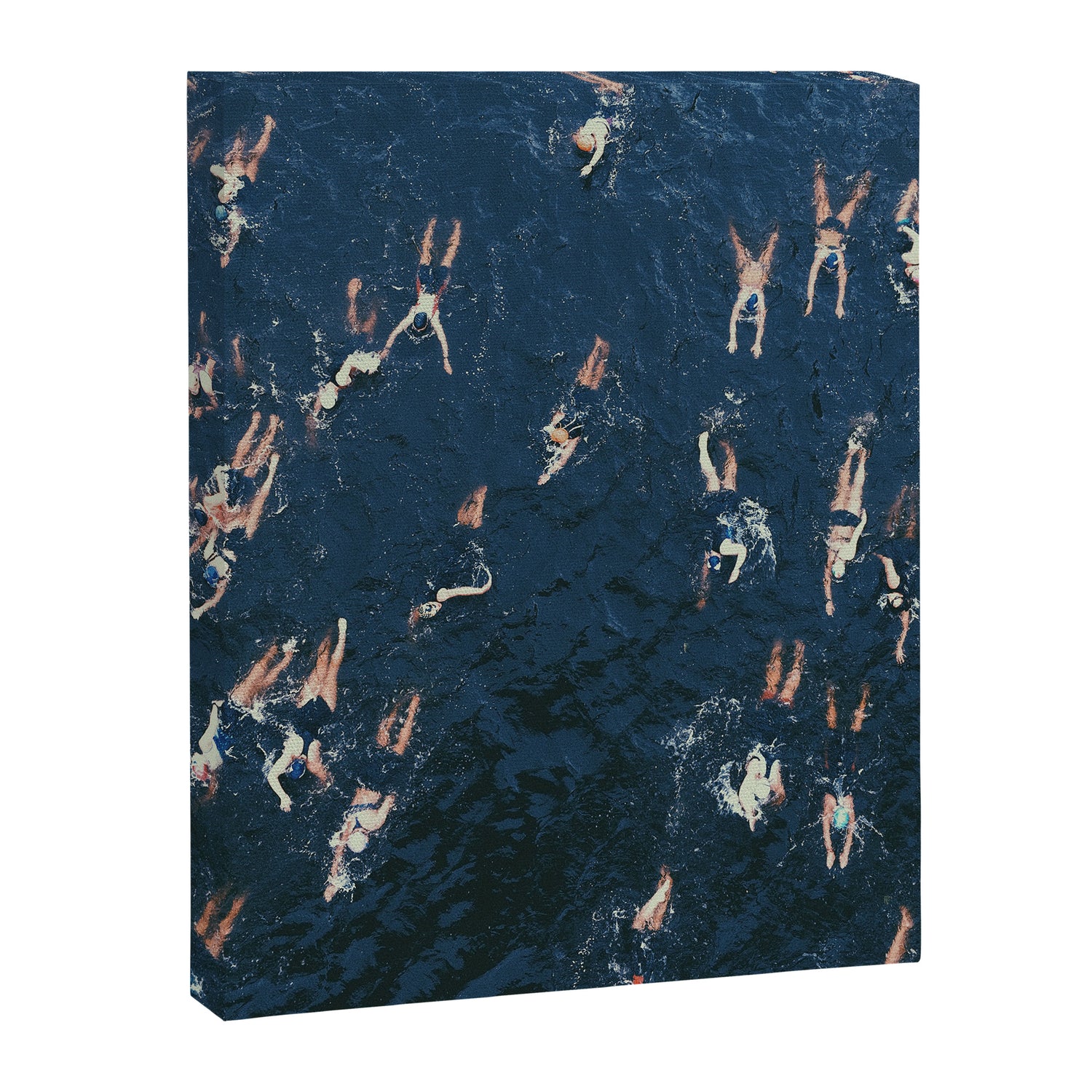 Swim swim Canvas Print Gallery Image 6
