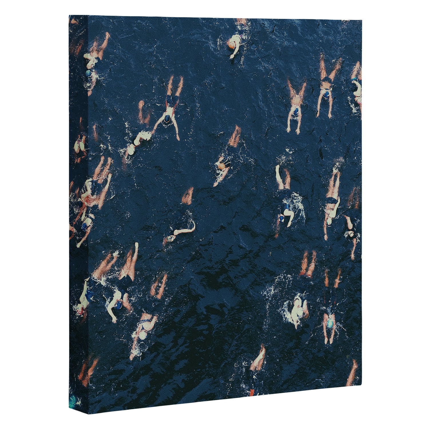 Swim swim Canvas Print Gallery Image 3
