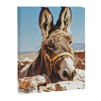 Donkey photo Canvas Print Gallery Image 6