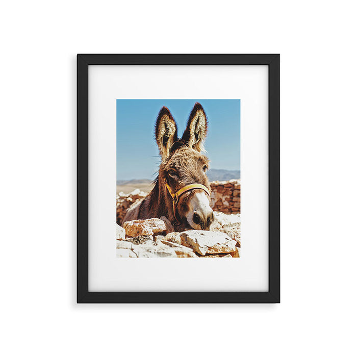Donkey photo Framed Art Print Gallery Image 1