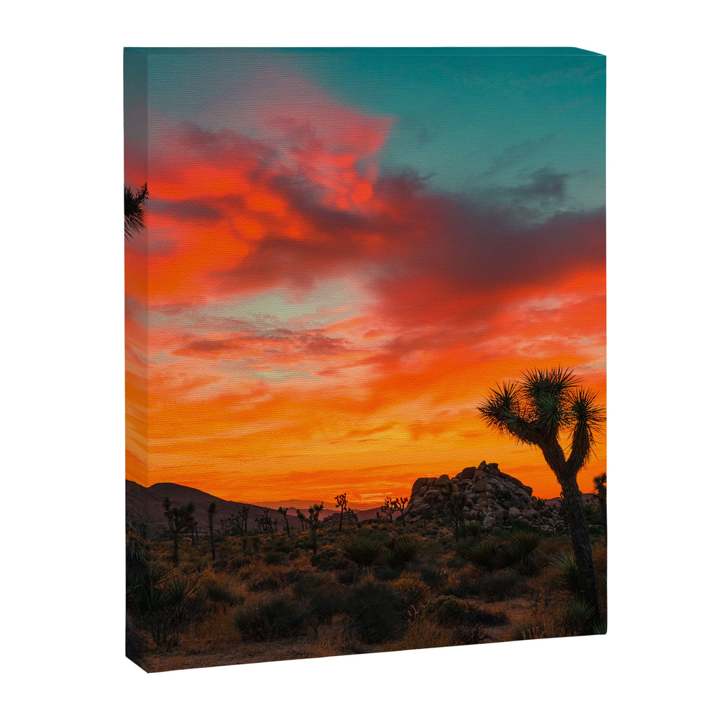 Joshua Tree Parc National Canvas Print Gallery Image 6