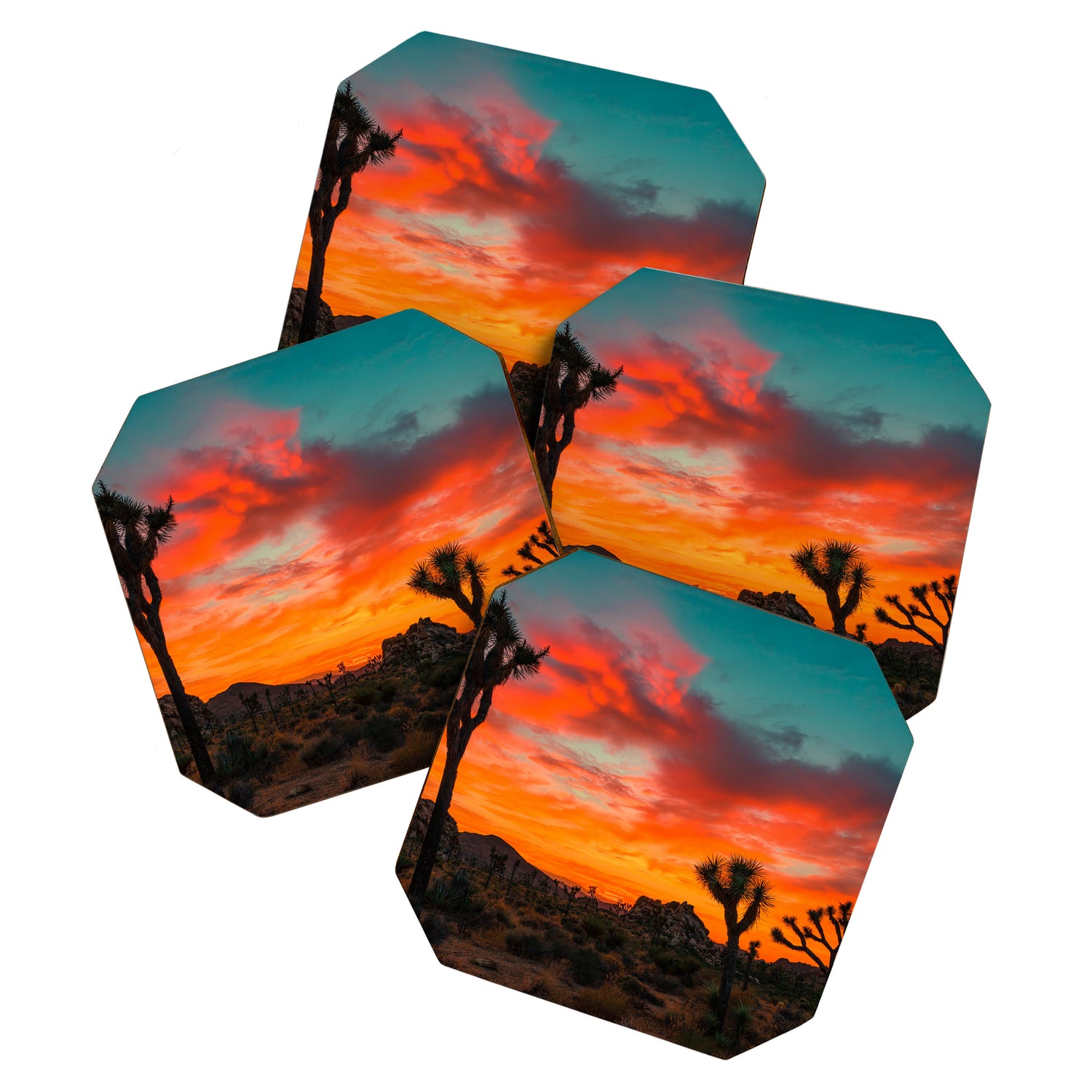 Joshua Tree Parc National Coaster Gallery Image 1