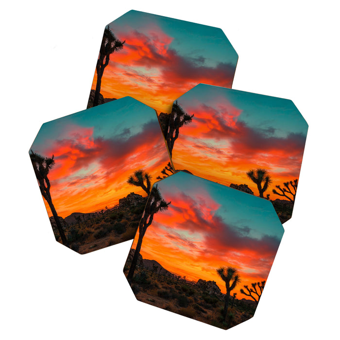 Joshua Tree Parc National Coaster Gallery Image 1