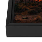 Joshua Tree Parc National Framed Canvas Print Gallery Image 3