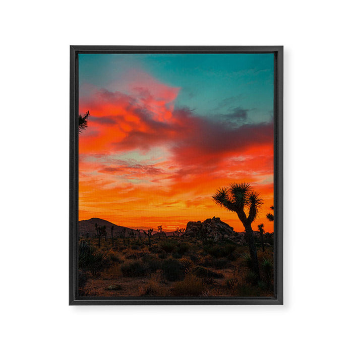 Joshua Tree Parc National Framed Canvas Print Gallery Image 1