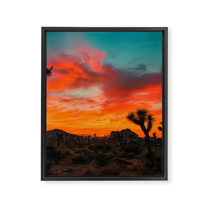 Joshua Tree Parc National Framed Canvas Print Gallery Image 6