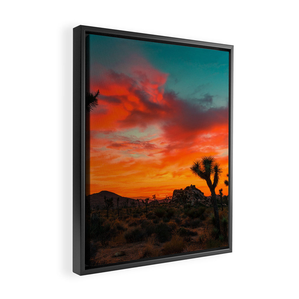 Joshua Tree Parc National Framed Canvas Print Gallery Image 2