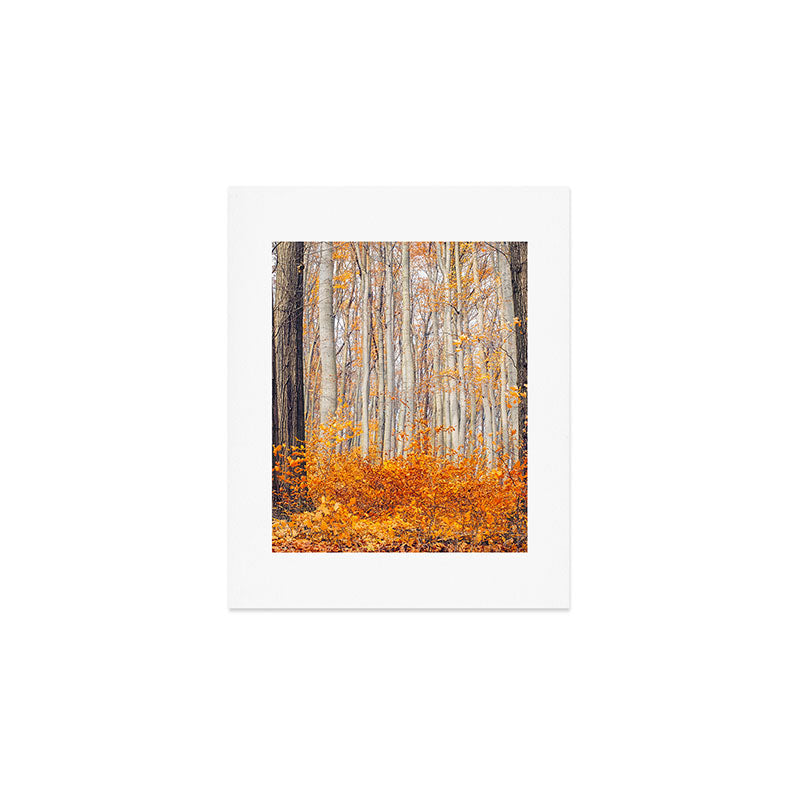orange autumn Art Print Gallery Image 1