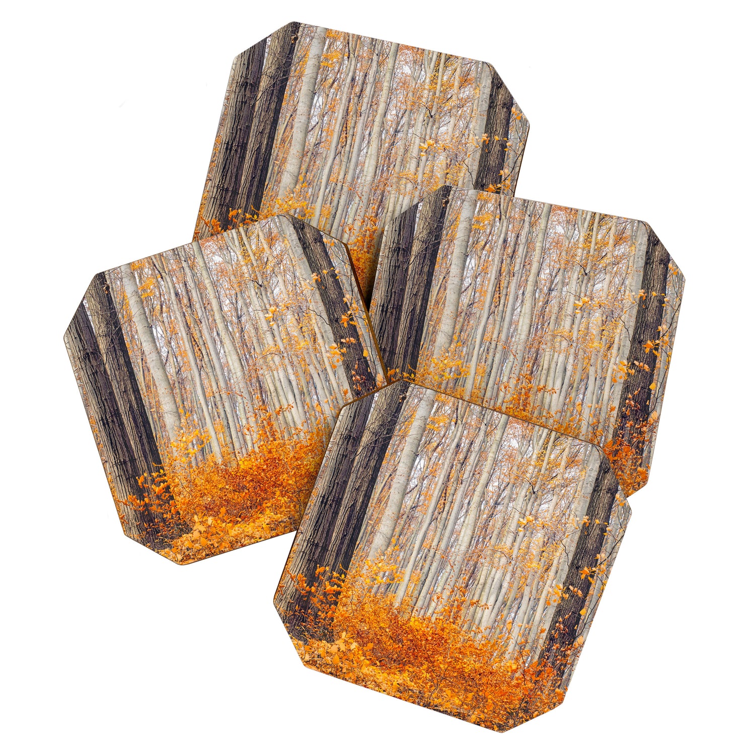 orange autumn Coaster Gallery Image 1