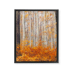 orange autumn Framed Canvas Print Gallery Image 8
