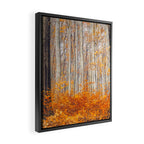orange autumn Framed Canvas Print Gallery Image 2