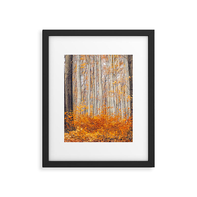 orange autumn Framed Art Print Gallery Image 6