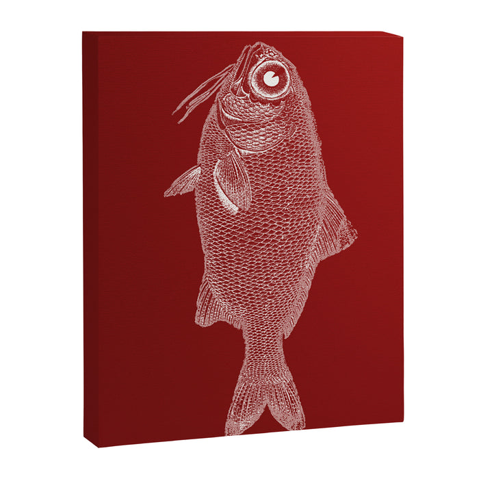 red fish poisson Canvas Print Gallery Image 1