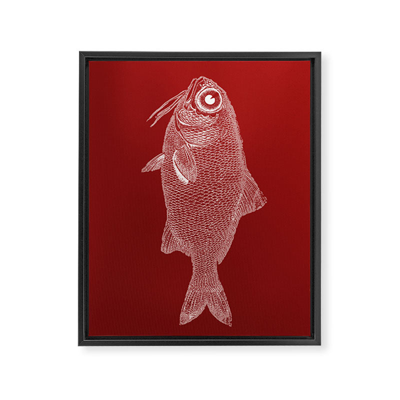 red fish poisson Framed Canvas Print Gallery Image 6