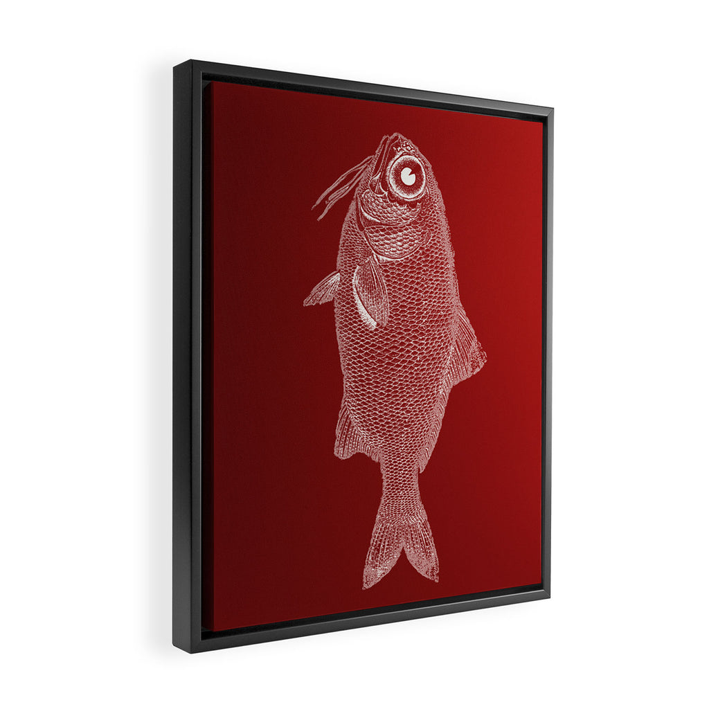 red fish poisson Framed Canvas Print Gallery Image 2