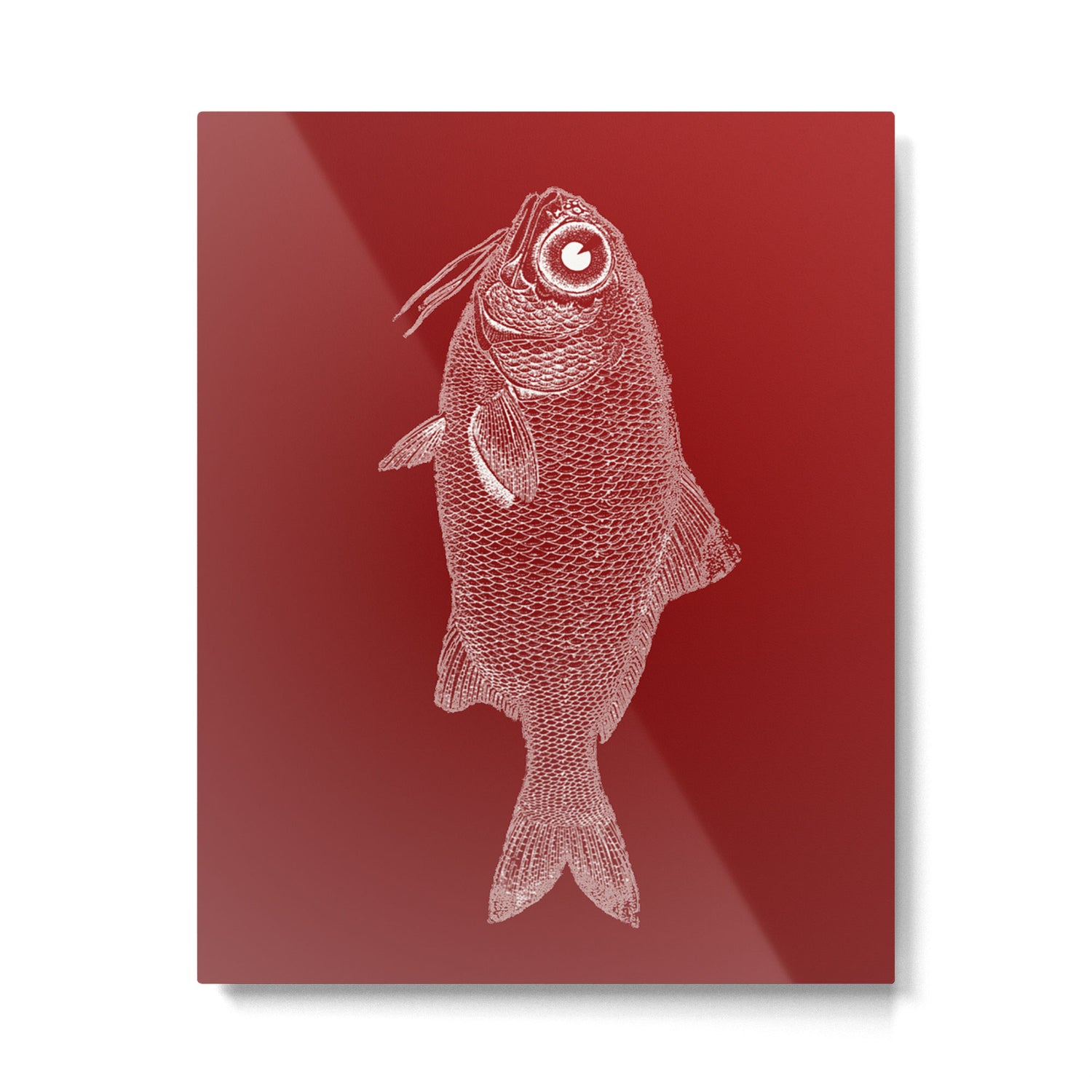red fish poisson Metal Print Gallery Image 4