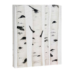 birch horizontal Canvas Print Gallery Image 6