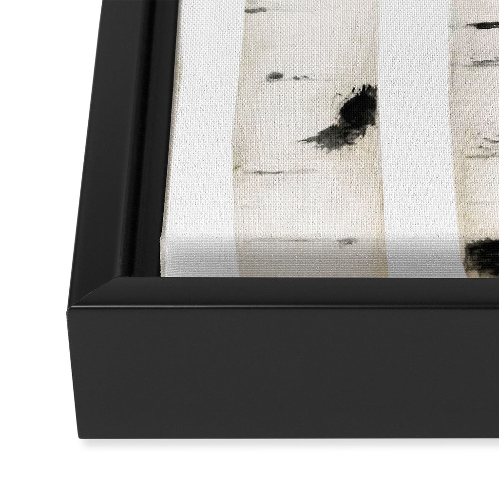 birch horizontal Framed Canvas Print Gallery Image 3