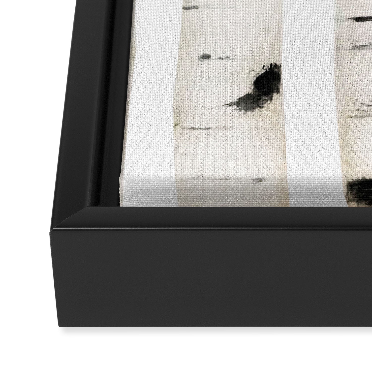 birch horizontal Framed Canvas Print Gallery Image 3